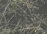 Název:		Asterionella formosa a Aulacoseira granulata	
Zvětšeno:	400 x
Technika:	Nomarského kontrast
Datum:		2003-08-01
Lokalita: 	nádrž Jevišovice
