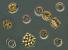 Název:		Cyclotella meneghiniana, Coelastrum astroideum a Peridinium sp.	
Zvětšeno:	400 x
Technika:	Nomarského kontrast
Datum:		2004-08-01
Lokalita: 	Skalka u Chebu
