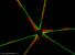 Název:		Asterionella formosa	
Zvětšeno:	800 x
Technika:	Fluorescenční barvení PDMPO
Datum:		2005-05-15
Lokalita: 	nádrž Římov
