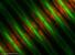 Název:		Fragilaria crotonensis	
Zvětšeno:	1000 x
Technika:	Fluorescenční barvení PDMPO
Datum:		2006-07-12
Lokalita: 	nádrž Římov

